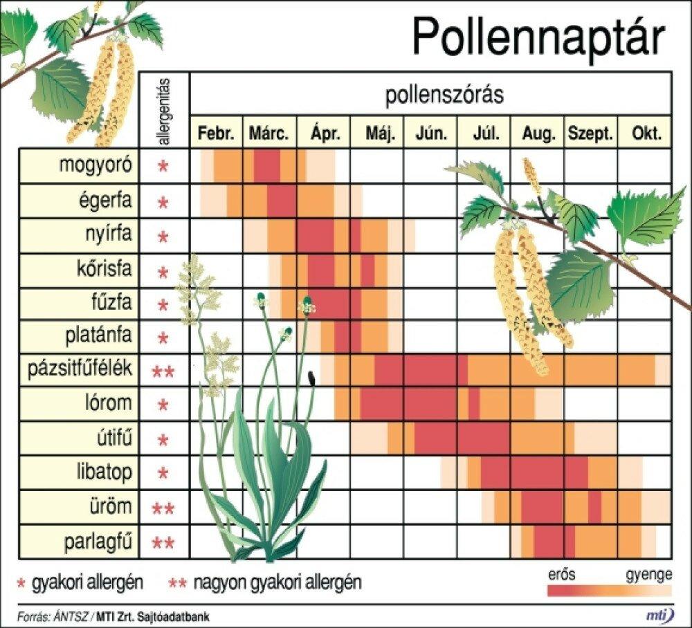 pollennaptár