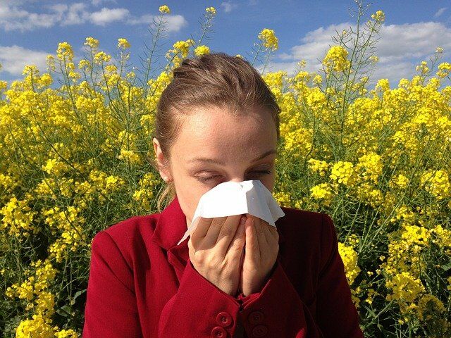 légtisztító allergia esetén